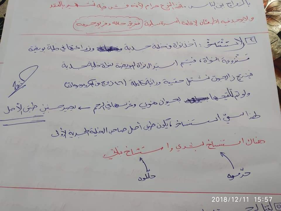 تلخيص شامل - 4020e538-8223-4768-99f4-31a4aa687bc3.jpg